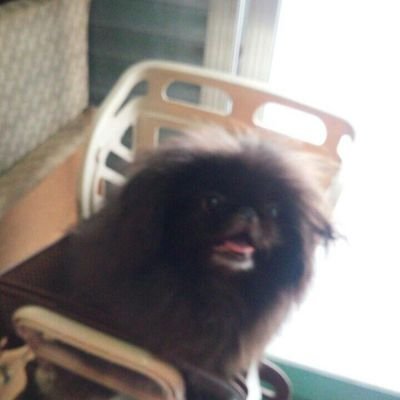 吉田 祐子 Masterilove7 Twitter 吉田 祐子 Masterilove7 Twitter