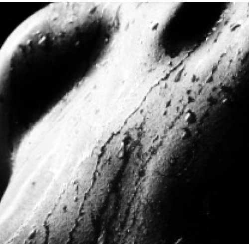 FitappBrothers's profile picture. Your source for inspiration and motivation about healthy nutrition, fitness and working out.