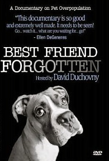 PetProjectTV's profile picture. Best Friend Forgotten is an amazing film about pet overpopulation and pet adoption...we want to be part of the solution to this problem.
