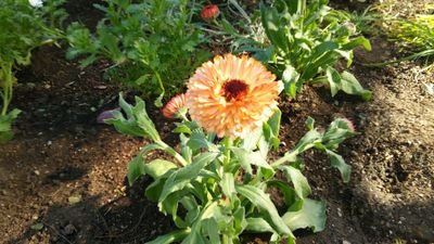 tcd888's profile picture. ダンサーではありません。