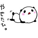 ねこ(´ฅ•ω•ฅ`)♡ (@0949_yukinko) Twitter