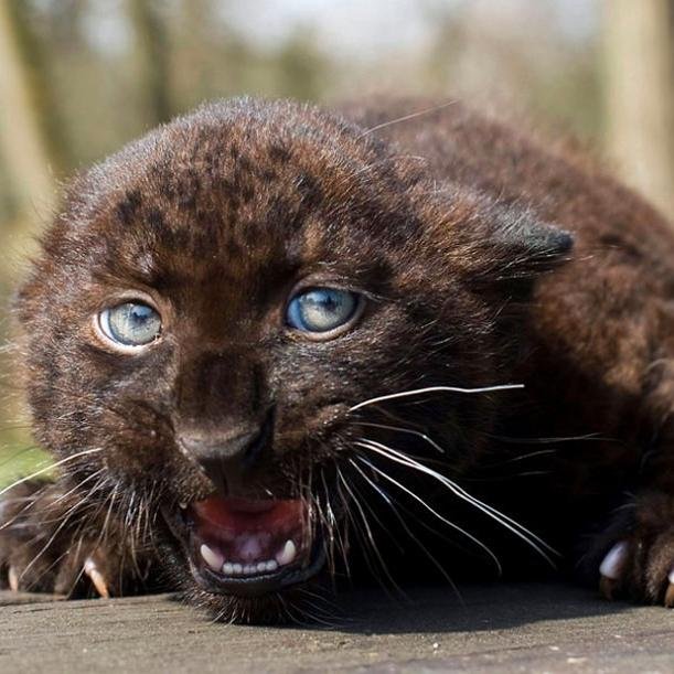 yndekc's profile picture. НАРОД  ЗАСЛУЖИВАЕТ  ТУ  ВЛАДУ  КОТОРУЮ ОН    ВЫБРАЛ /грецкий философ /