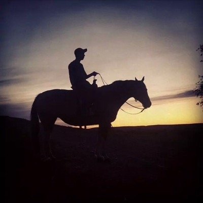 wrangler2018's profile picture. 