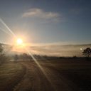 Lisa Chabot - @Lisa_gardenVT - Twitter