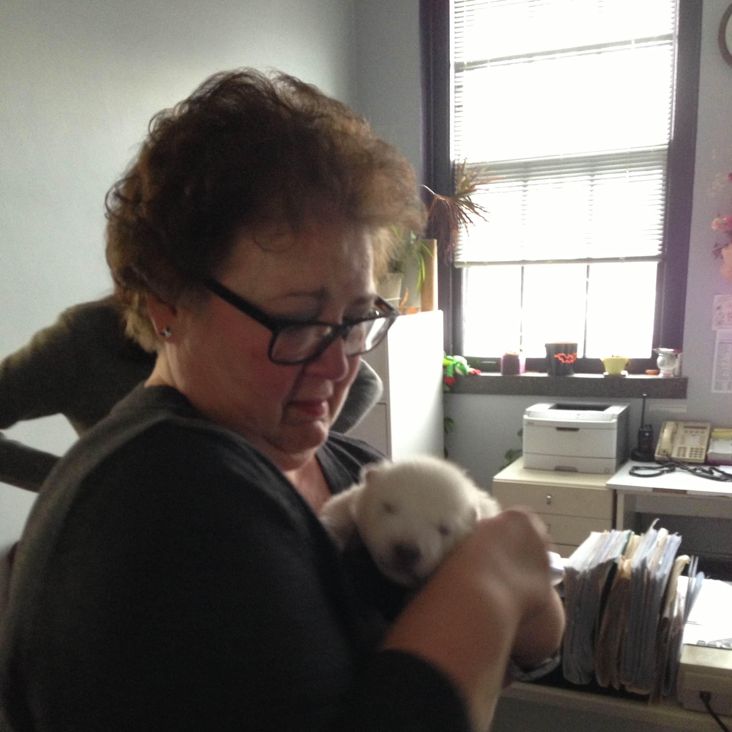 AdairSaviola's profile picture. Life long Buffalo booster, generalist, grateful for family and friends!