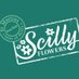 Scilly Flowers (@scillyflowers) Twitter profile photo