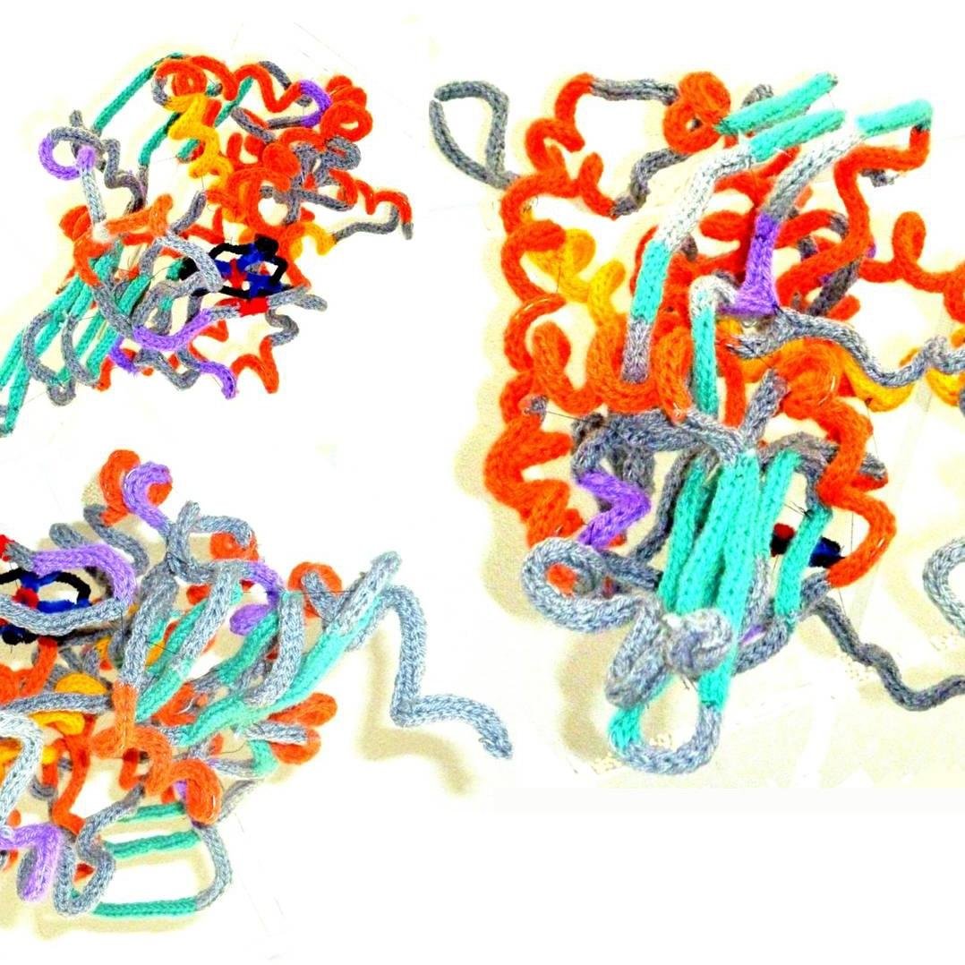Centre for Cytochrome P450 Biodiversity at Swansea University Medical School