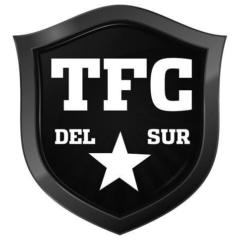 Organizacion de Torneos de Futbol Zona Sur.