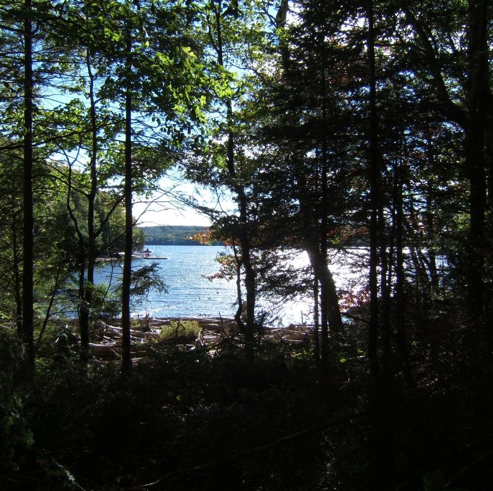 mdtaylorwaind's profile picture. 