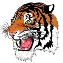#TigerNation