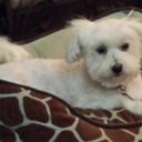 Bud NAYLOR - @BudNaylor - Twitter