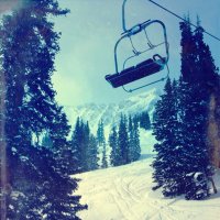 tillie hooker (@tillie_hooker) 's Twitter Profile Photo