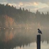 VicfromVic's profile picture. 