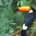 Frederick Kastner - @frederickkastn1 - Twitter