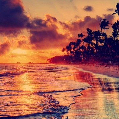 RadaouiSaifi's profile picture. 