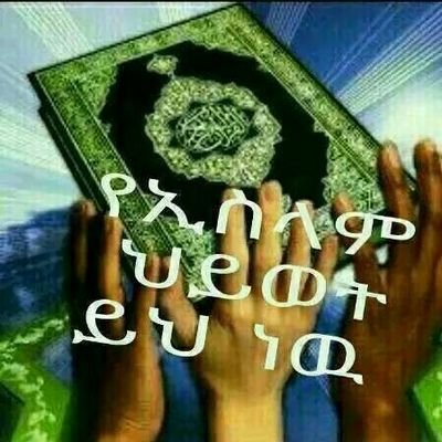 DTemera's profile picture. 