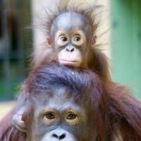 meremi_'s profile picture. 