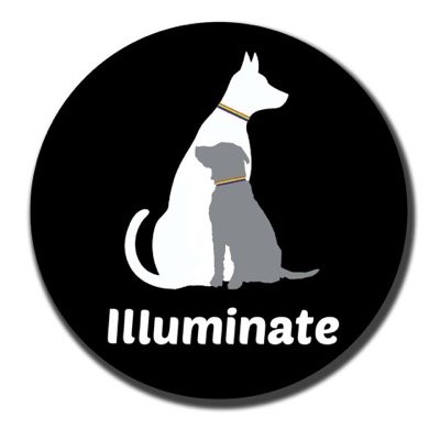 illuminateAGSB's profile picture. young enterprise group