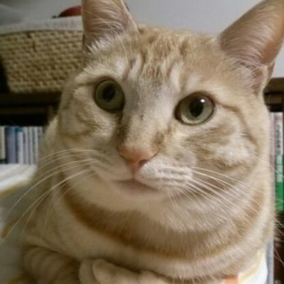Katze2222 赤ワインをファンタオレンジで割ると ティント デ ベラーノ風になって ビールみたいにゴクゴク行けます 夏にオススメ スペインのみんな大丈夫かなー Katze2222 赤ワインをファンタオレンジで割ると ティント デ ベラーノ風になって ビールみたいにゴクゴク行けます 夏にオススメ スペインのみんな大丈夫かなー
