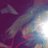 CarrinaPugh's profile image
