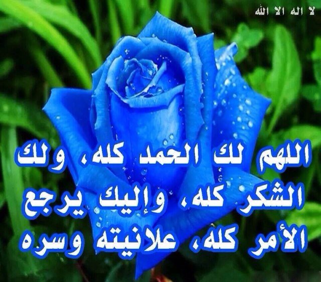 الاستغفار ؛ ازالة هم ، و تفريج غم و تكفير ذنب ، و اطمئنان قلب استغفر الله العظيم واتوب اليه ❤️