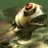 studengequ1973's profile image