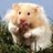 terfubesca1977's profile image