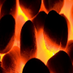 DFC Fuels (@dfcfuels) Twitter profile photo DFC Fuels (@dfcfuels) Twitter profile photo
