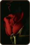 #1iansomerhalder.lover.TVD junkie!!Ian S. is so hawt!!.luv GaGa,Demi,+ the classic tunes...heart vampires!luv Damon Salvatore...Team Salvatore!!! luv u Ian...:)
