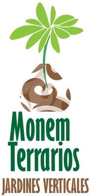 somos una microempresa familiar, dedicada a la decoración con Kokedama, terrarios y Jardines Verticales.