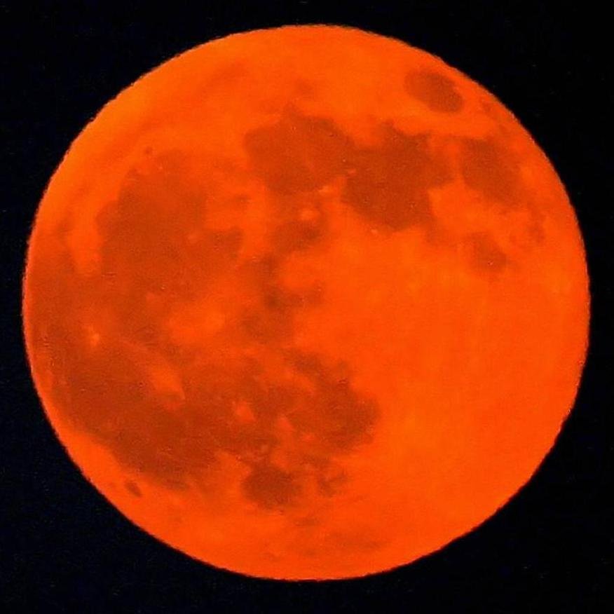 Ads1Coke's profile picture. 