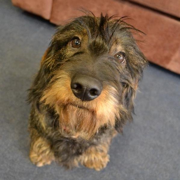 WinkworthCP's profile picture. Winkworth Crystal Palace deals with the sale and letting of residential properties as well as the management of property in the Crystal Palace area.