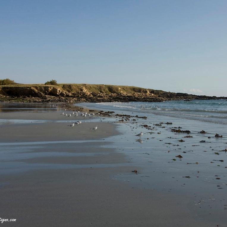 OhGouthe's profile picture. Café - Salon de thé culturel en cours de création.