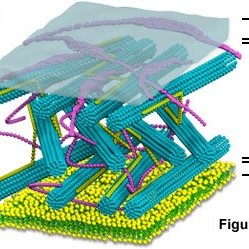 AlfredoWall6's profile picture. 