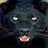 sadsivega1986's profile image