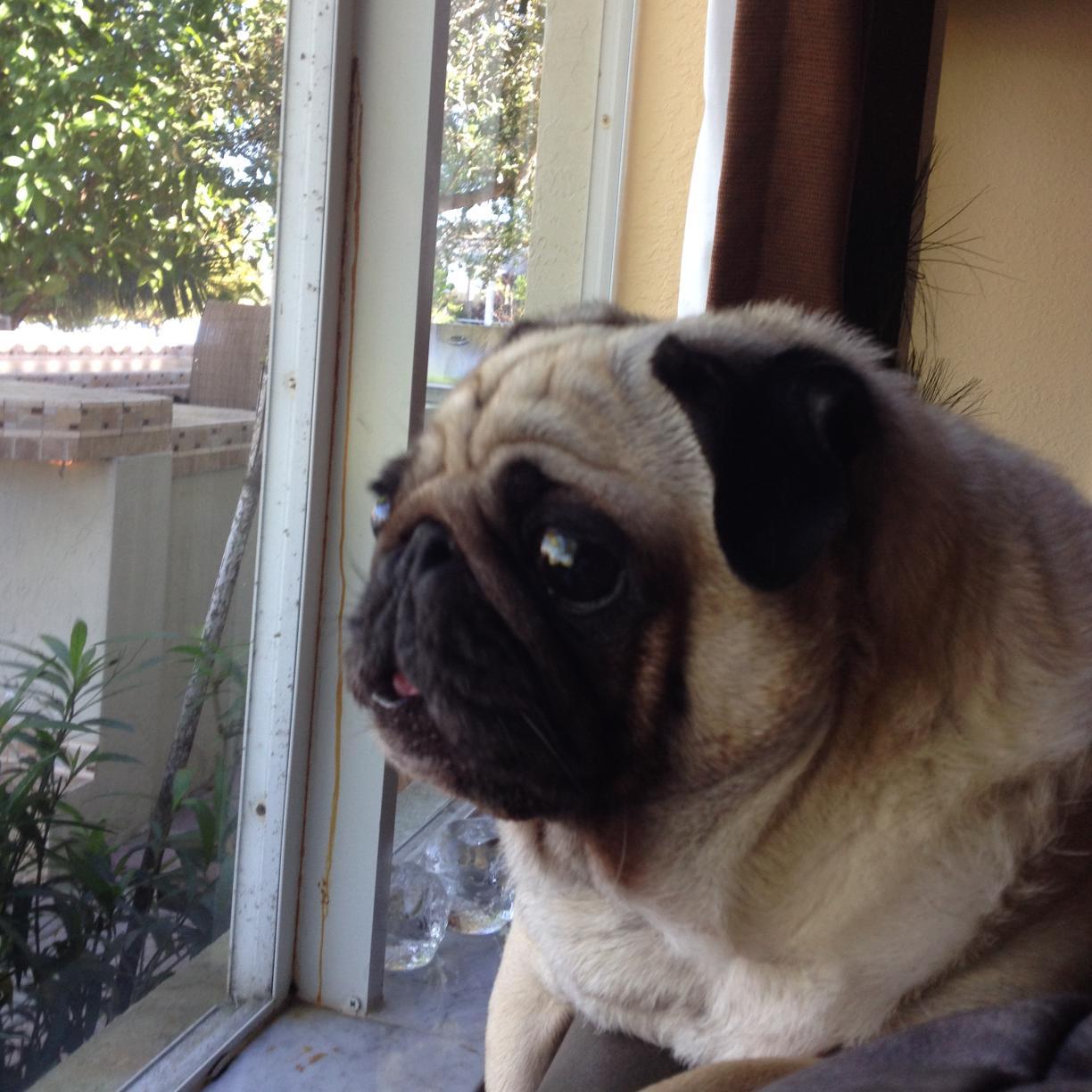 mumblerer's profile picture. 