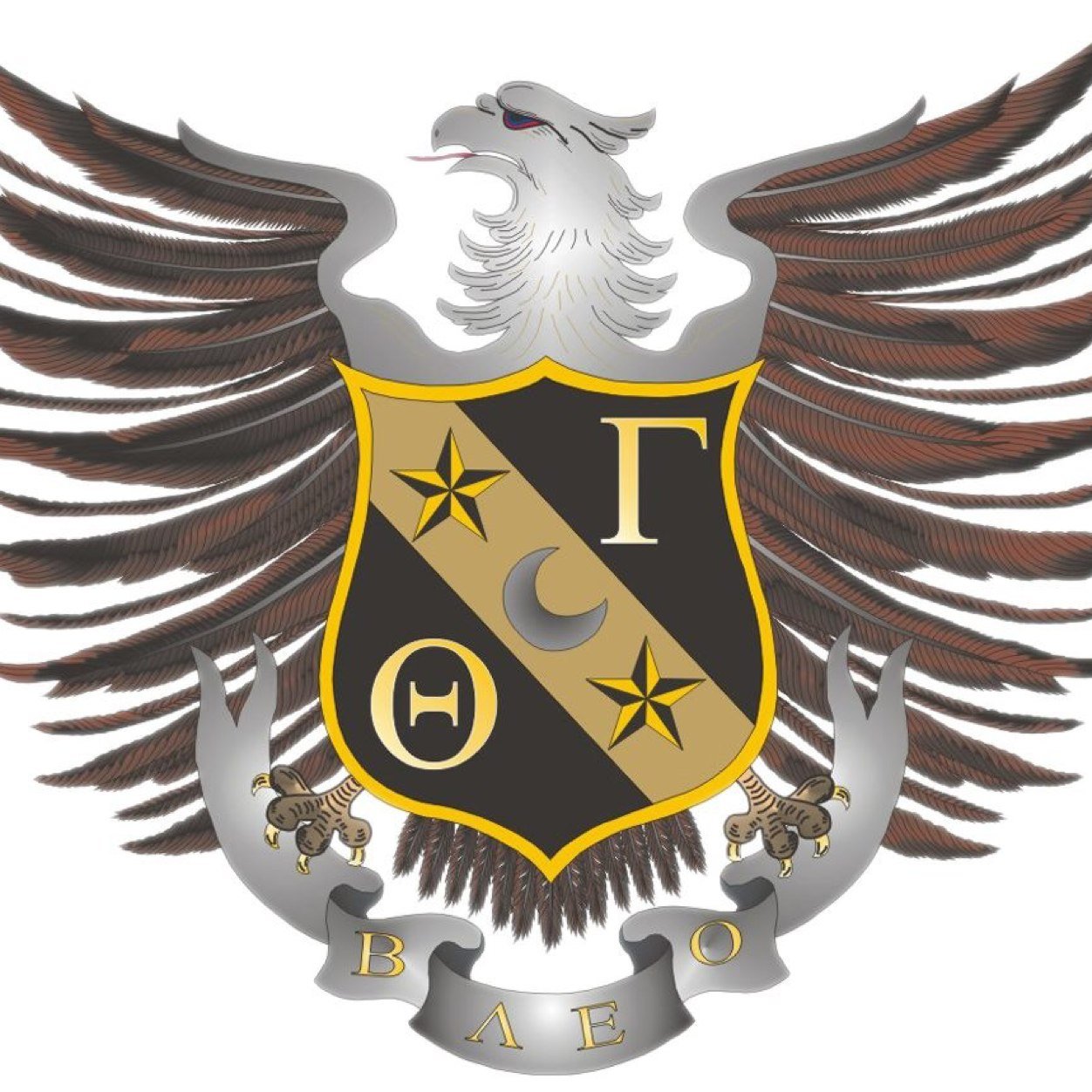 Nu Chapter of Theta Gamma Fraternity