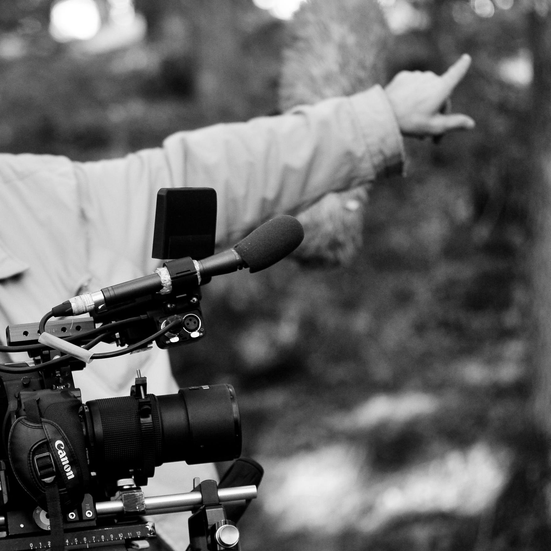 Director