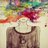 lu_petrini's profile image