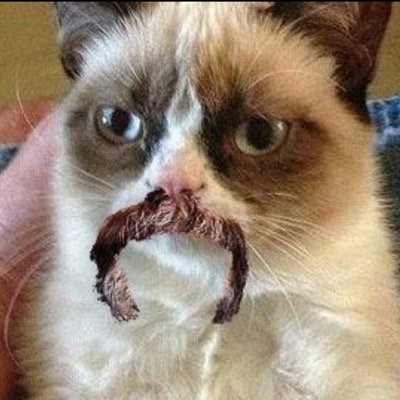 FREE FOLLOW BECAUSE OF THE STACHE FROM @hoechswolf