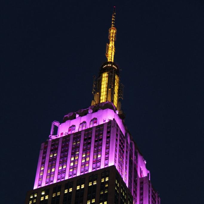 NYCMetroDukes's profile picture. Official twitter account of the JMU Alumni NYC Chapter