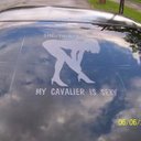 wayne doerr - @wayne_doerr43 - Twitter