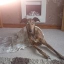 LEE BROXTON - @LEEBROXTON - Twitter