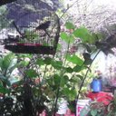 Efren Cano - @derbin1984 - Twitter