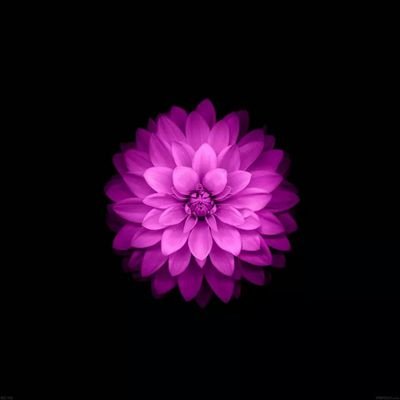 wylla_barbara Profile Picture