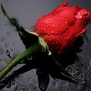 Shannon Greig - @shannongreig4 - Twitter