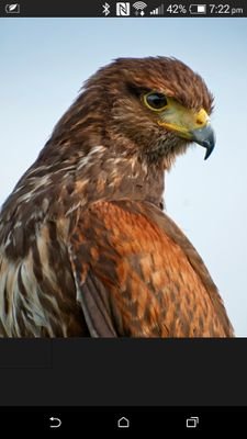 EskJohn's profile picture. 