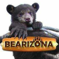Bearizona(@bearizona) 's Twitter Profile Photo