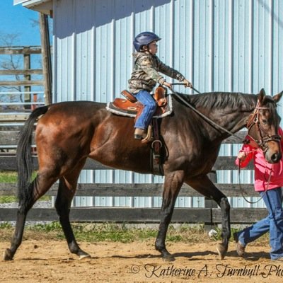 kristy_jcfarm's profile picture. 