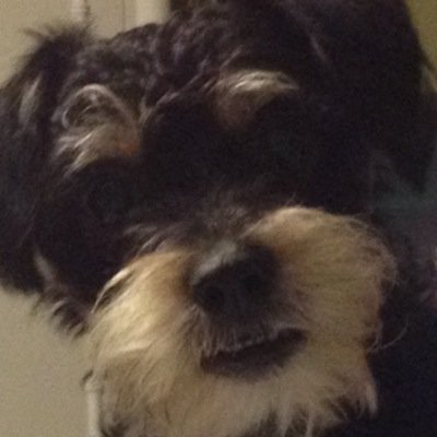 LEOCARM16 Profile Picture